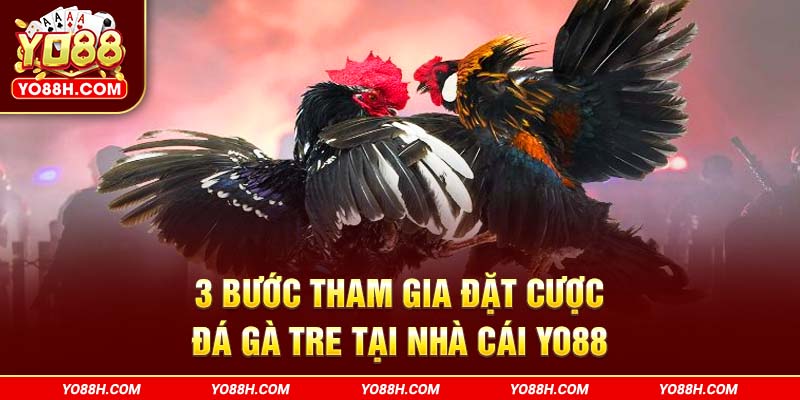 3-buoc-tham-gia-dat-cuoc-da-ga-tre-tai-nha-cai-yo88h-com