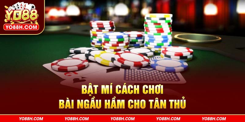 bat-mi-cach-choi-bai-ngau-ham-cho-tan-thu-yo88h-com