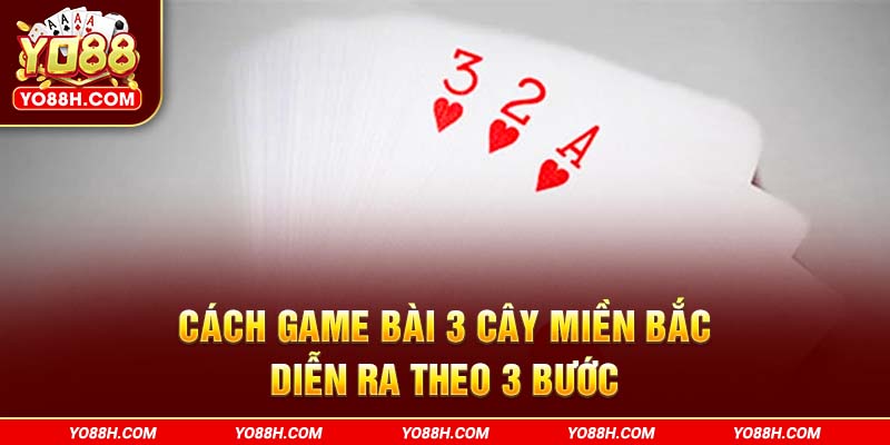cach-game-bai-3-cay-mien-bac-dien-ra-theo-3-buoc-yo88h-com