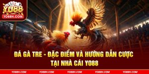 da-ga-tre-dac-diem-va-huong-dan-cuoc-tai-nha-cai-yo88h-com