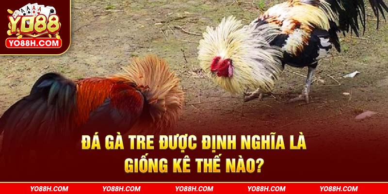 da-ga-tre-duoc-dinh-nghia-la-giong-ke-the-nao-yo88h-com
