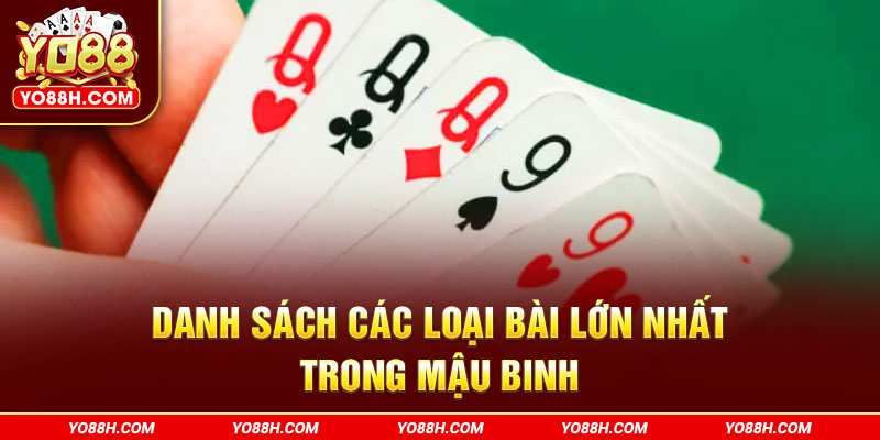 danh-sach-cac-loai-bai-lon-nhat-trong-mau-binh-yo88h-com