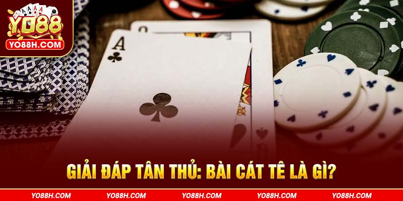 giai-dap-tan-thu-bai-cat-te-la-gi-yo88h-com