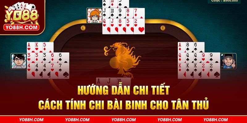 huong-dan-chi-tiet-cach-tinh-chi-bai-binh-cho-tan-thu-yo88h-com