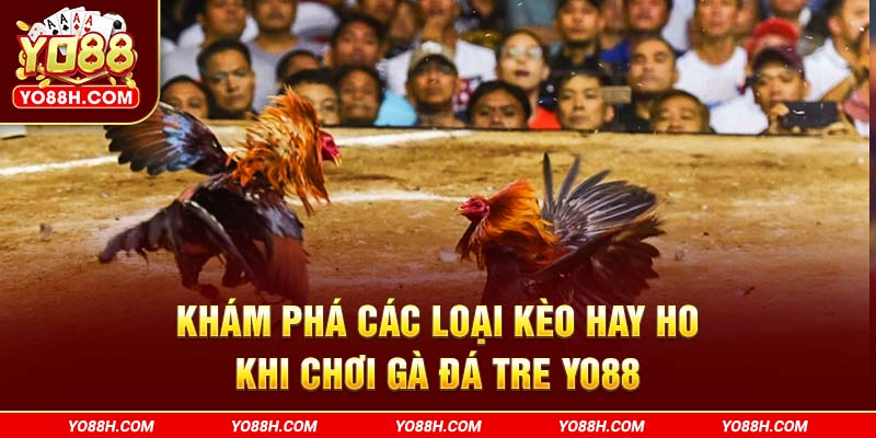 kham-pha-cac-loai-keo-hay-ho-khi-choi-ga-da-tre-yo88h-com
