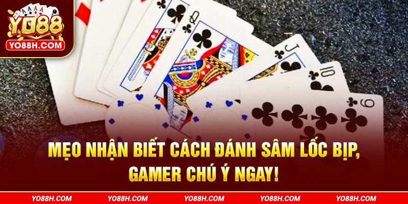 meo-nhan-biet-cach-danh-sam-loc-bip-gamer-chu-y-ngay-yo88h-com