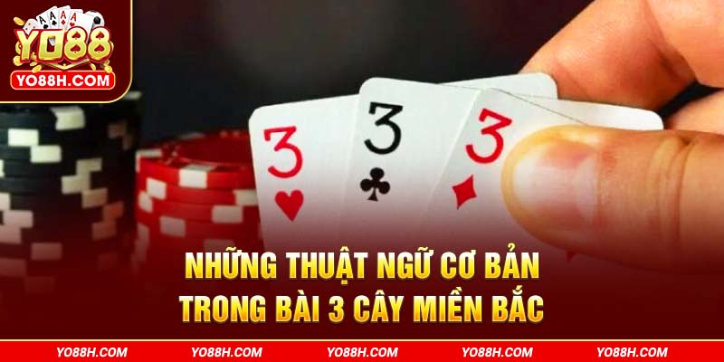 nhung-thuat-ngu-co-ban-trong-bai-3-cay-mien-bac-yo88h-com