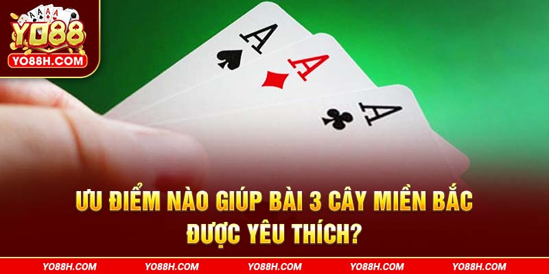 uu-diem-nao-giup-bai-3-cay-mien-bac-duoc-yeu-thich-yo88h-com