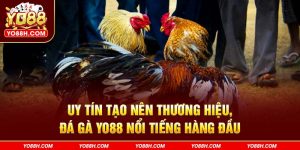 uy-tin-tao-nen-thuong-hieu-da-ga-yo88h-com-noi-tieng-hang-dau