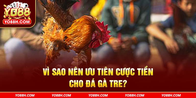 vi-sao-nen-uu-tien-cuoc-tien-cho-da-ga-tre-yo88h-com